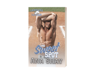 The Sweet Spot Novella